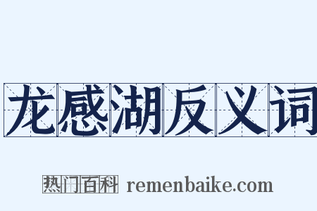 龙感湖反义词是什么意思的图片